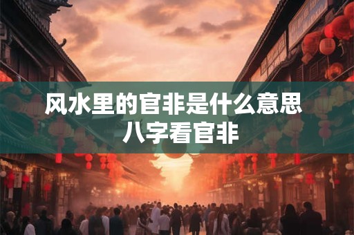风水里的官非是什么意思  八字看官非