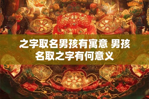 之字取名男孩有寓意 男孩名取之字有何意义