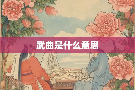 武曲是什么意思