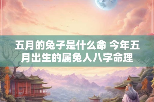 五月的兔子是什么命 今年五月出生的属兔人八字命理