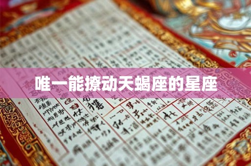 唯一能撩动天蝎座的星座