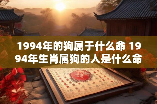 1994年的狗属于什么命 1994年生肖属狗的人是什么命