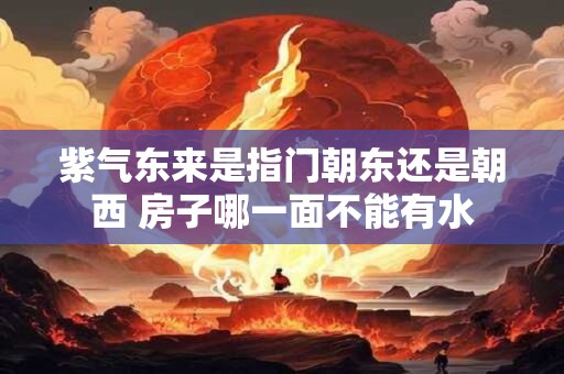 紫气东来是指门朝东还是朝西 房子哪一面不能有水