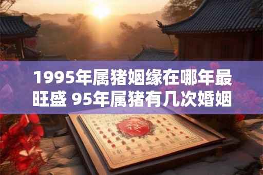 1995年属猪姻缘在哪年最旺盛 95年属猪有几次婚姻