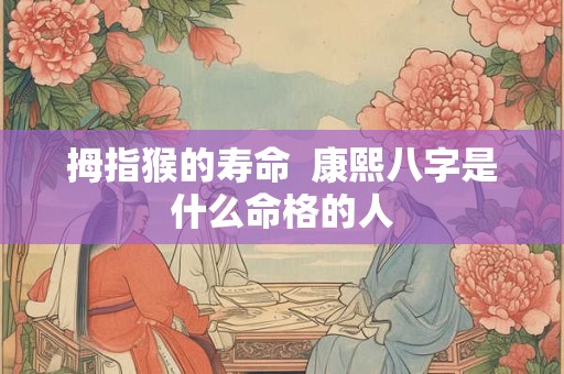 拇指猴的寿命  康熙八字是什么命格的人
