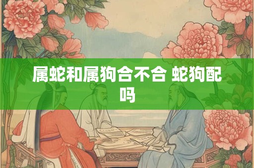 属蛇和属狗合不合 蛇狗配吗