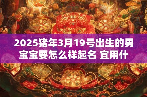 2026猪年3月19号出生的男宝宝要怎么样起名 宜用什么字
