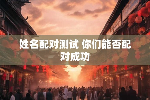 姓名配对测试 你们能否配对成功