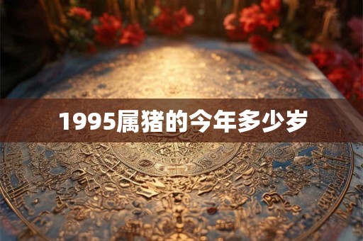 1995属猪的今年多少岁
