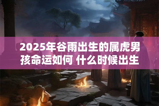 2025年谷雨出生的属虎男孩命运如何 什么时候出生好