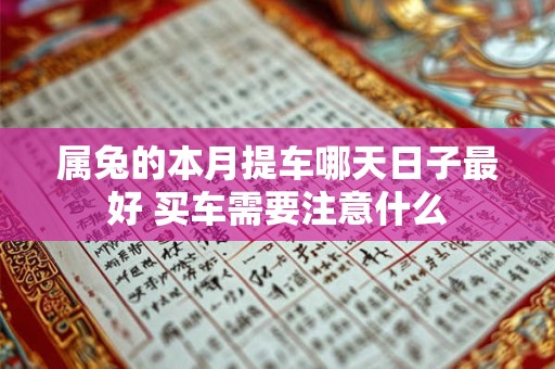属兔的本月提车哪天日子最好 买车需要注意什么