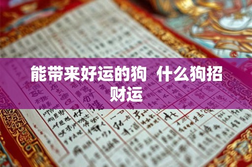 能带来好运的狗  什么狗招财运