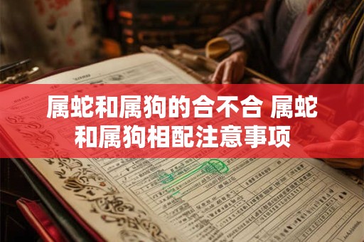 属蛇和属狗的合不合 属蛇和属狗相配注意事项
