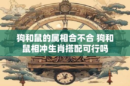 狗和鼠的属相合不合 狗和鼠相冲生肖搭配可行吗