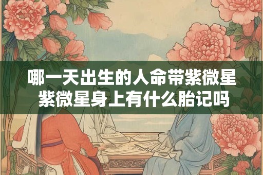 哪一天出生的人命带紫微星 紫微星身上有什么胎记吗