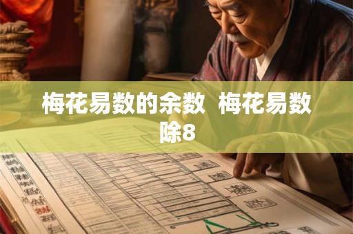 梅花易数的余数  梅花易数除8
