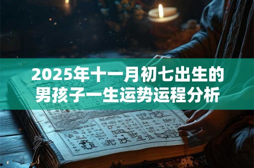 2025年十一月初七出生的男孩子一生运势运程分析