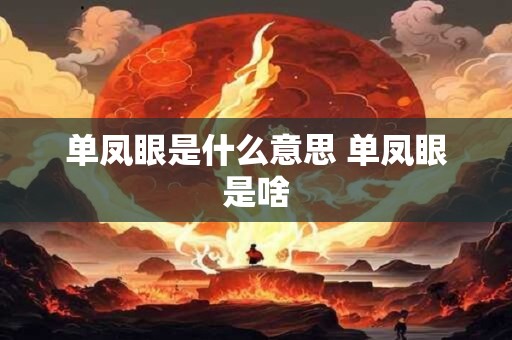单凤眼是什么意思 单凤眼是啥