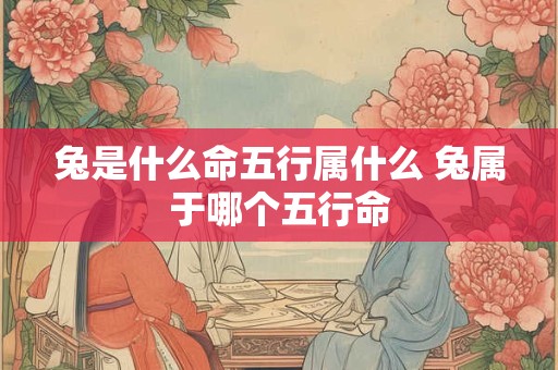 兔是什么命五行属什么 兔属于哪个五行命