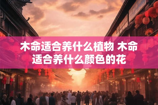 木命适合养什么植物 木命适合养什么颜色的花