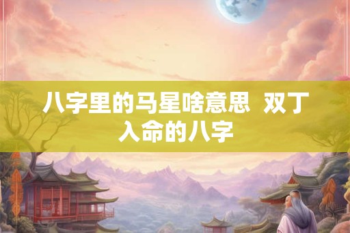 八字里的马星啥意思  双丁入命的八字