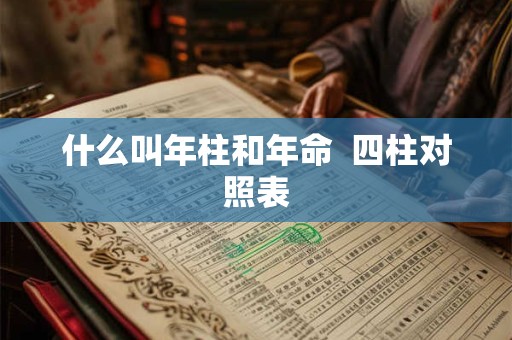 什么叫年柱和年命  四柱对照表