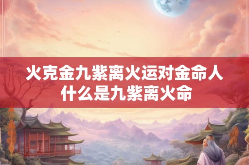 火克金九紫离火运对金命人 什么是九紫离火命