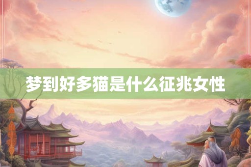 梦到好多猫是什么征兆女性