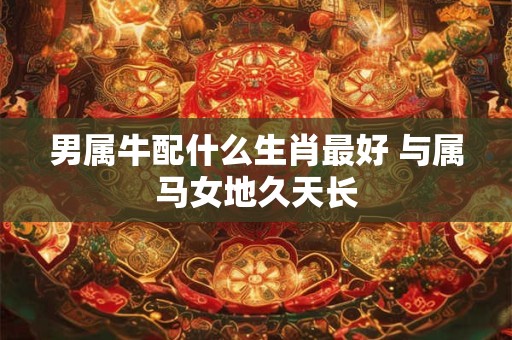 男属牛配什么生肖最好 与属马女地久天长