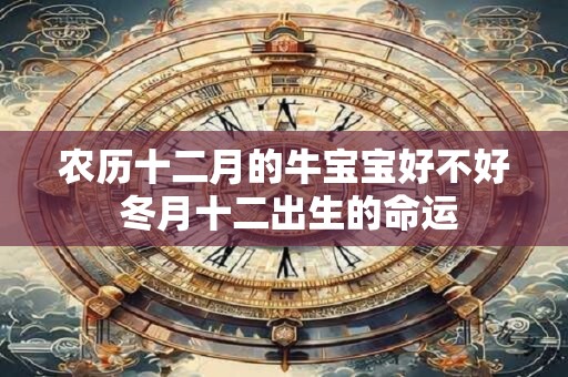 农历十二月的牛宝宝好不好 冬月十二出生的命运