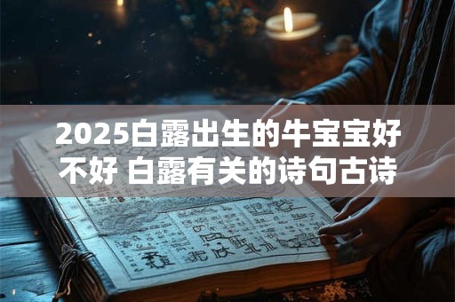 2025白露出生的牛宝宝好不好 白露有关的诗句古诗