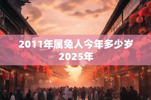 2011年属兔人今年多少岁2025年