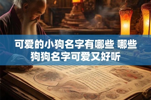 可爱的小狗名字有哪些 哪些狗狗名字可爱又好听