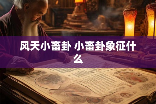风天小畜卦 小畜卦象征什么