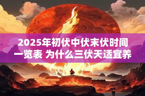 2025年初伏中伏末伏时间一览表 为什么三伏天适宜养生