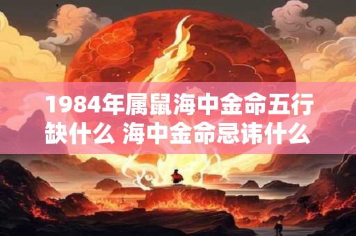 1984年属鼠海中金命五行缺什么 海中金命忌讳什么