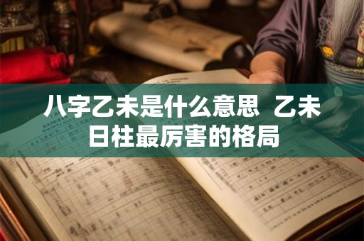 八字乙未是什么意思  乙未日柱最厉害的格局