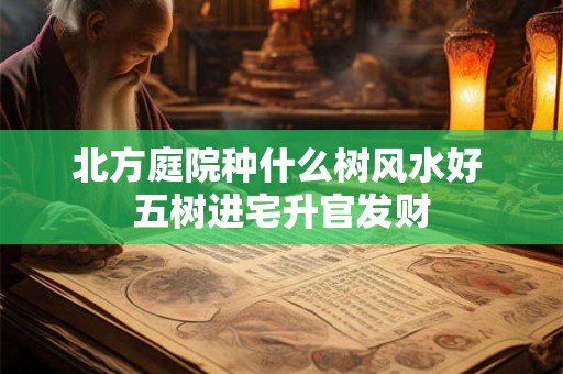 北方庭院种什么树风水好 五树进宅升官发财
