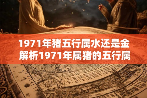 1971年猪五行属水还是金 解析1971年属猪的五行属性