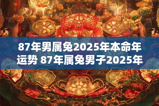87年男属兔2025年本命年运势 87年属兔男子2025年本命年运势如何