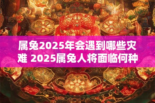 属兔2025年会遇到哪些灾难 2025属兔人将面临何种灾难