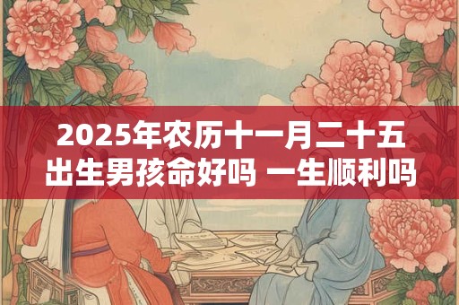 2025年农历十一月二十五出生男孩命好吗 一生顺利吗 2025年农历十一月二十五出生男孩命好吗 一生顺利吗
