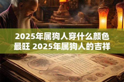 2025年属狗人穿什么颜色最旺 2025年属狗人的吉祥方位 2025年属狗人穿什么颜色最旺 2025年属狗人的吉祥方位