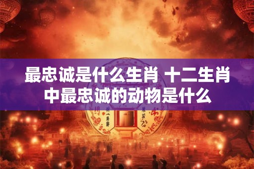 最忠诚是什么生肖 十二生肖中最忠诚的动物是什么 最忠诚是什么生肖 十二生肖中最忠诚的动物是什么