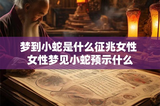 梦到小蛇是什么征兆女性 女性梦见小蛇预示什么