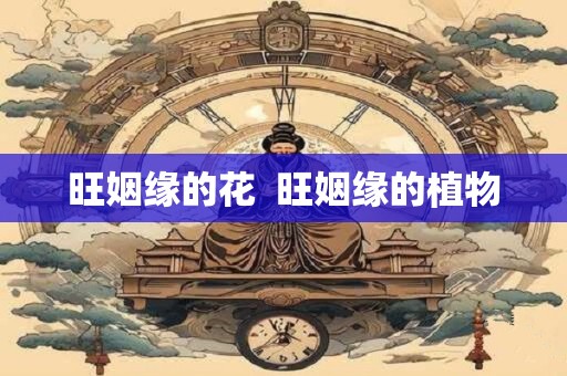 旺姻缘的花  旺姻缘的植物