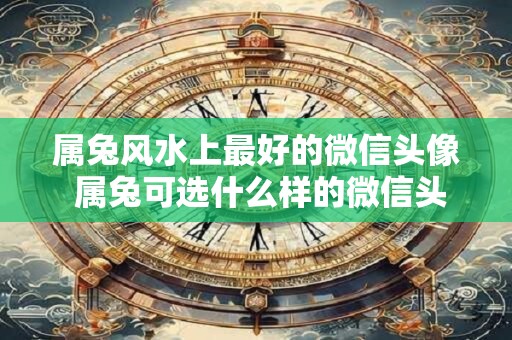 属兔风水上最好的微信头像 属兔可选什么样的微信头像最有助于风水