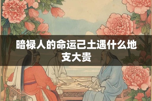 暗禄人的命运己土遇什么地支大贵