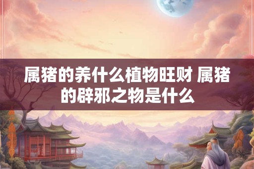 属猪的养什么植物旺财 属猪的辟邪之物是什么