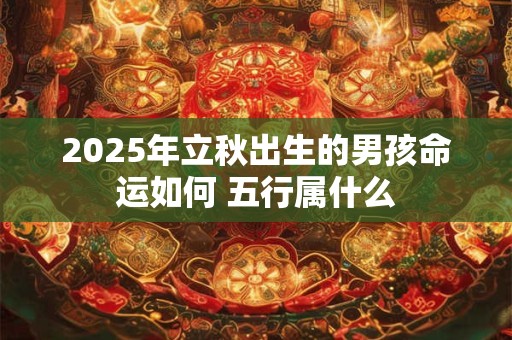 2025年立秋出生的男孩命运如何 五行属什么
